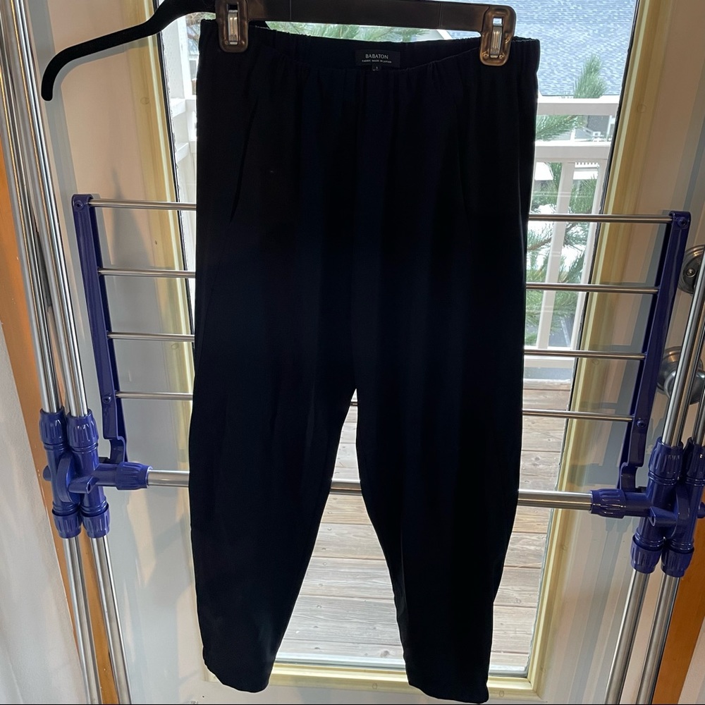 Aritzia Dexter pull on tuxedo crop jogger
